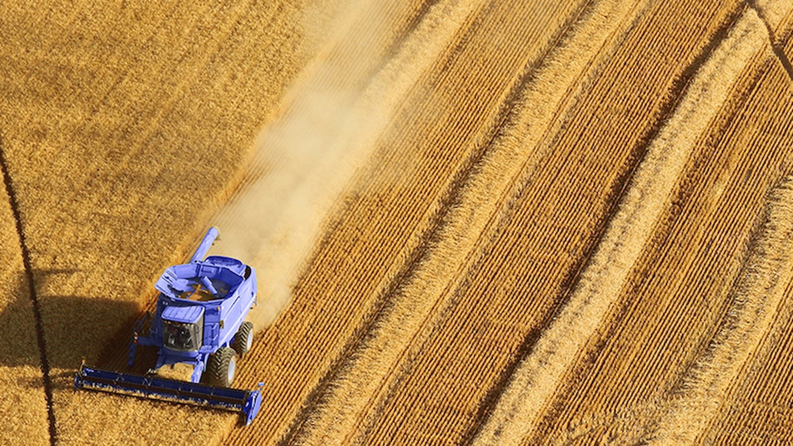 Finding Your Way Through The Gluten-Free Maze