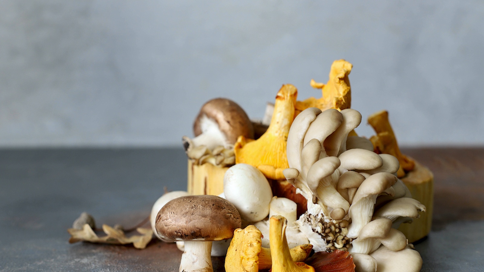 7 Powerful Mushrooms & Their Healing Benefits