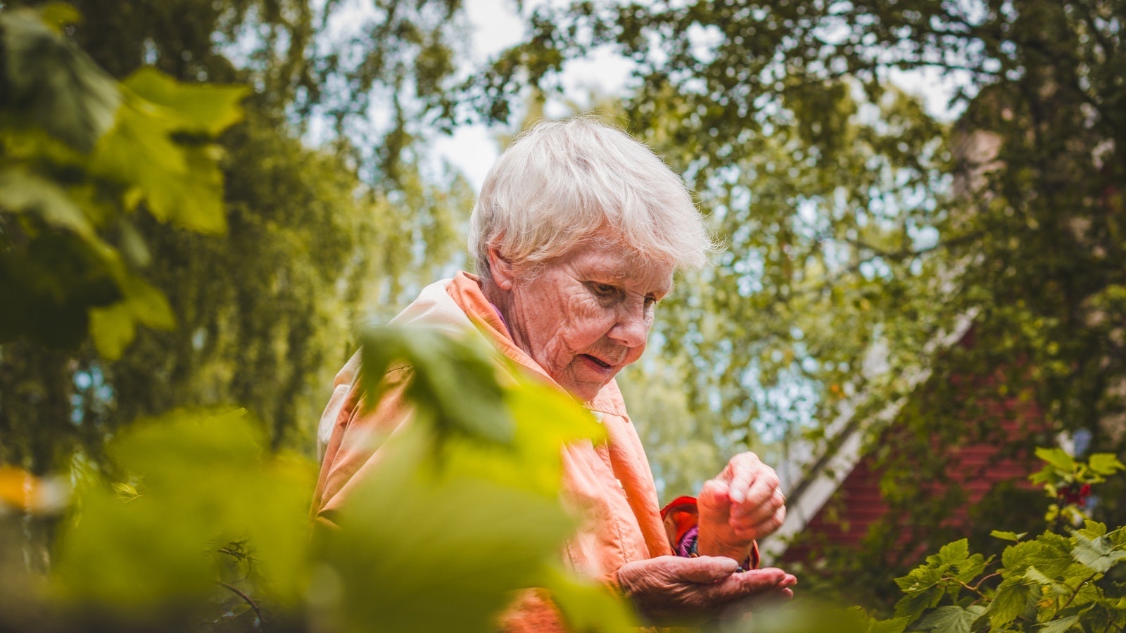 Can You Prevent Alzheimer’s with Healthy Foods?