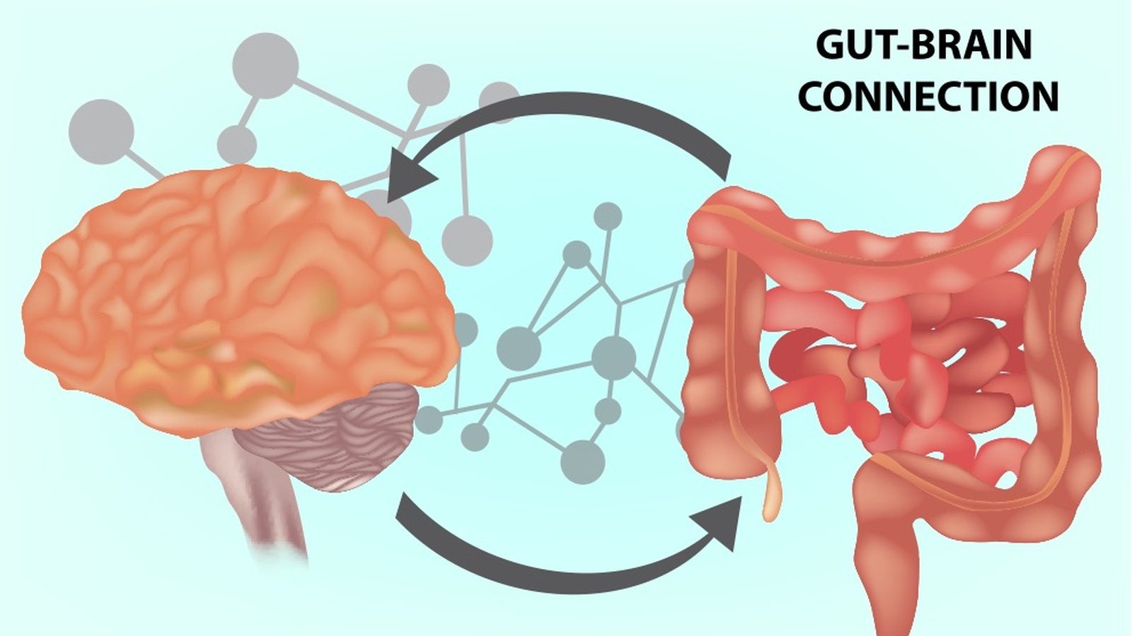 The Gut Brain Axis