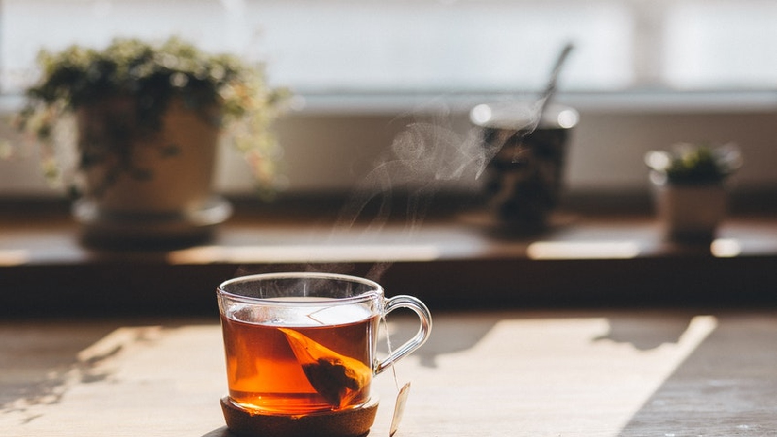 Why Is There Plastic In Our Teabags?