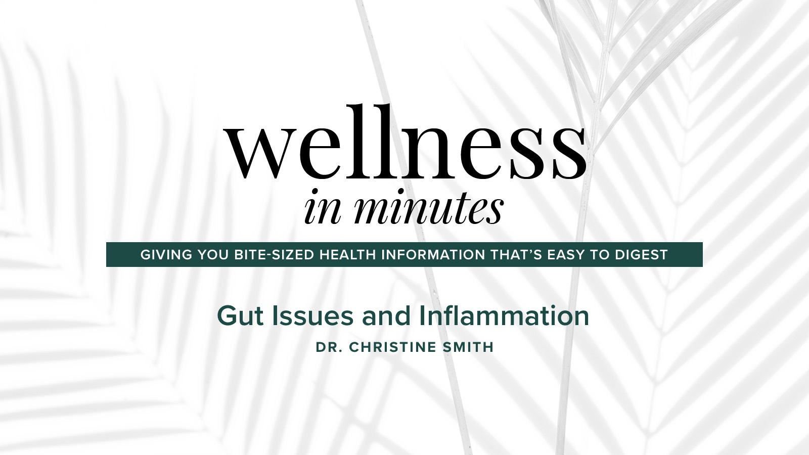 Wellness in Minutes: Gut Issues & Inflammation with Dr. Christine Smith