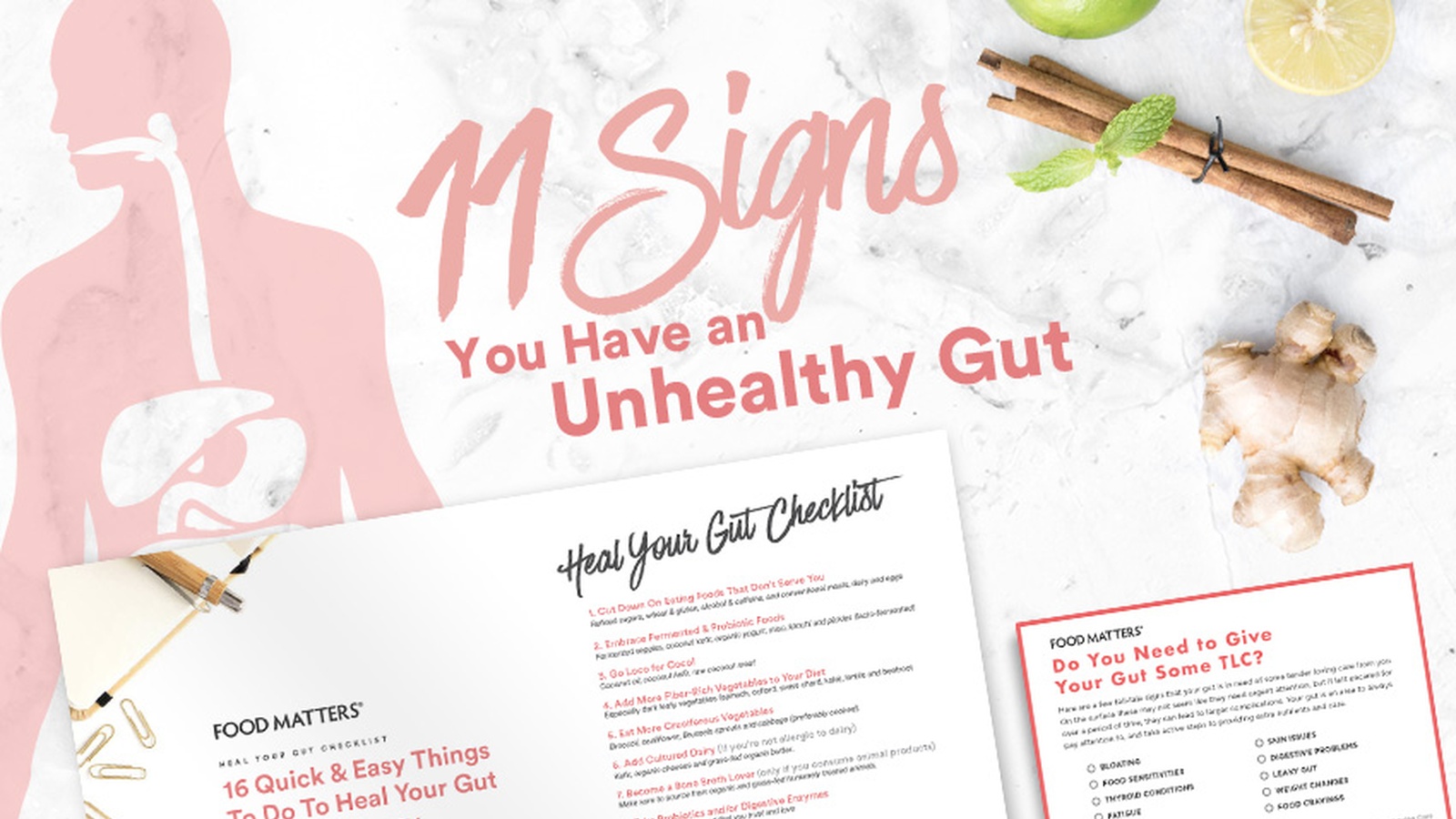 11 Signs You Have an Unhealthy Gut and 4 Steps to Heal It