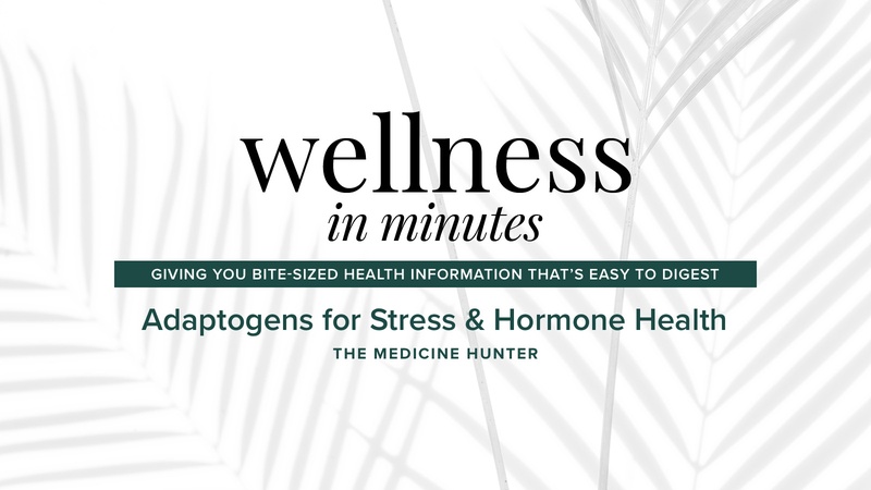 Adaptogens for Stress & Hormone Health with The Medicine Hunter