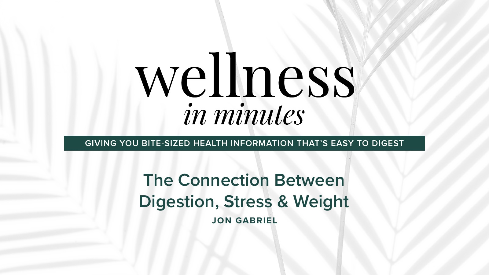 Wellness In Minutes: The Connection Between Digestion, Stress & Weight