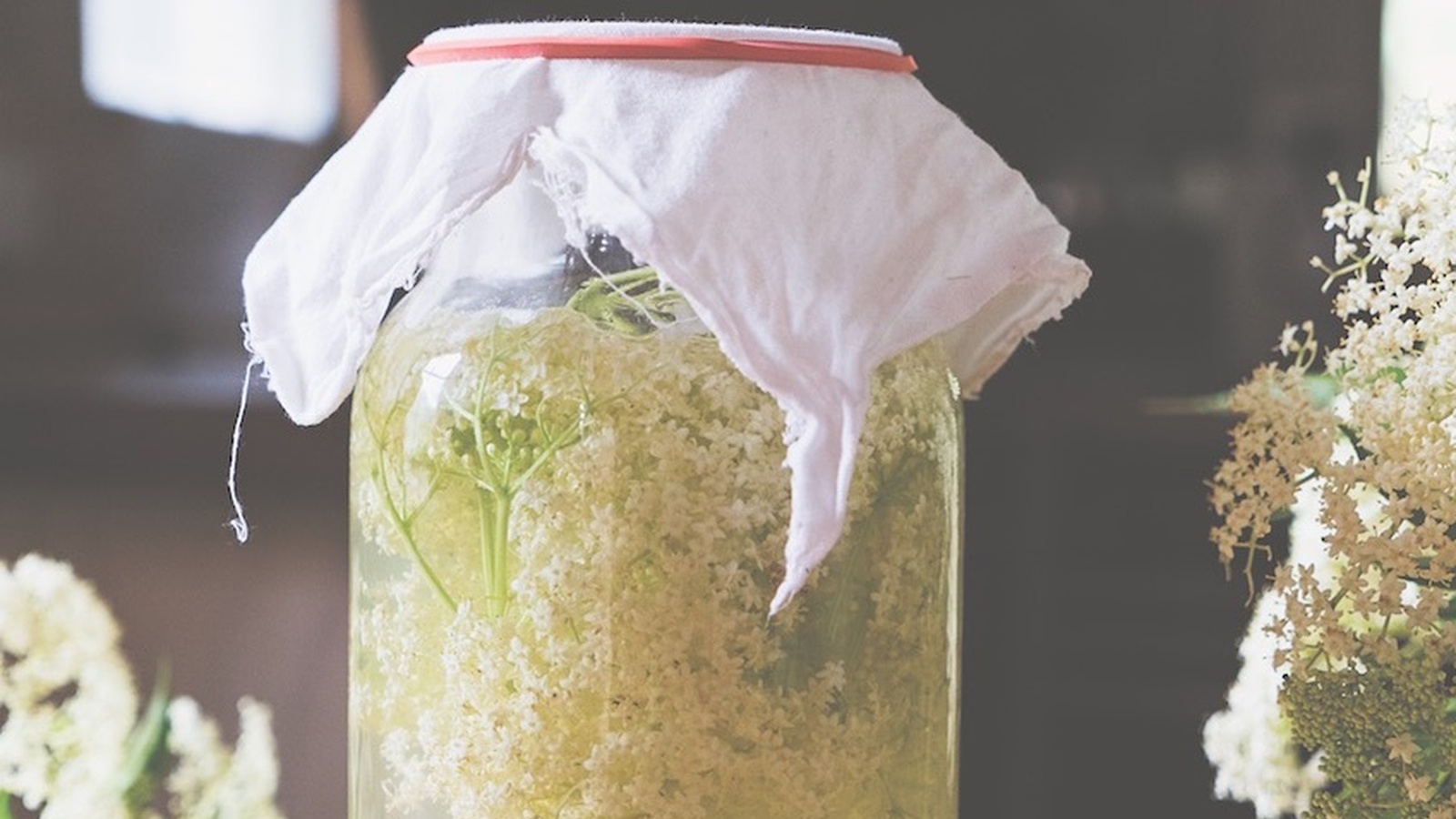 Wild Fermented Elderflower Soda