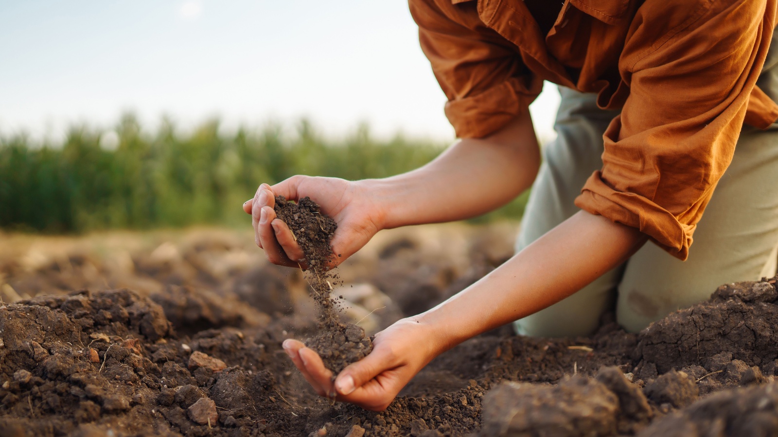 The Top Reasons Soil Is So Important to Our Health